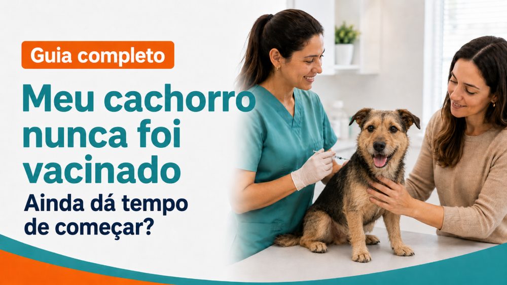 Meu cachorro nunca foi vacinado. Ainda dá tempo de começar?