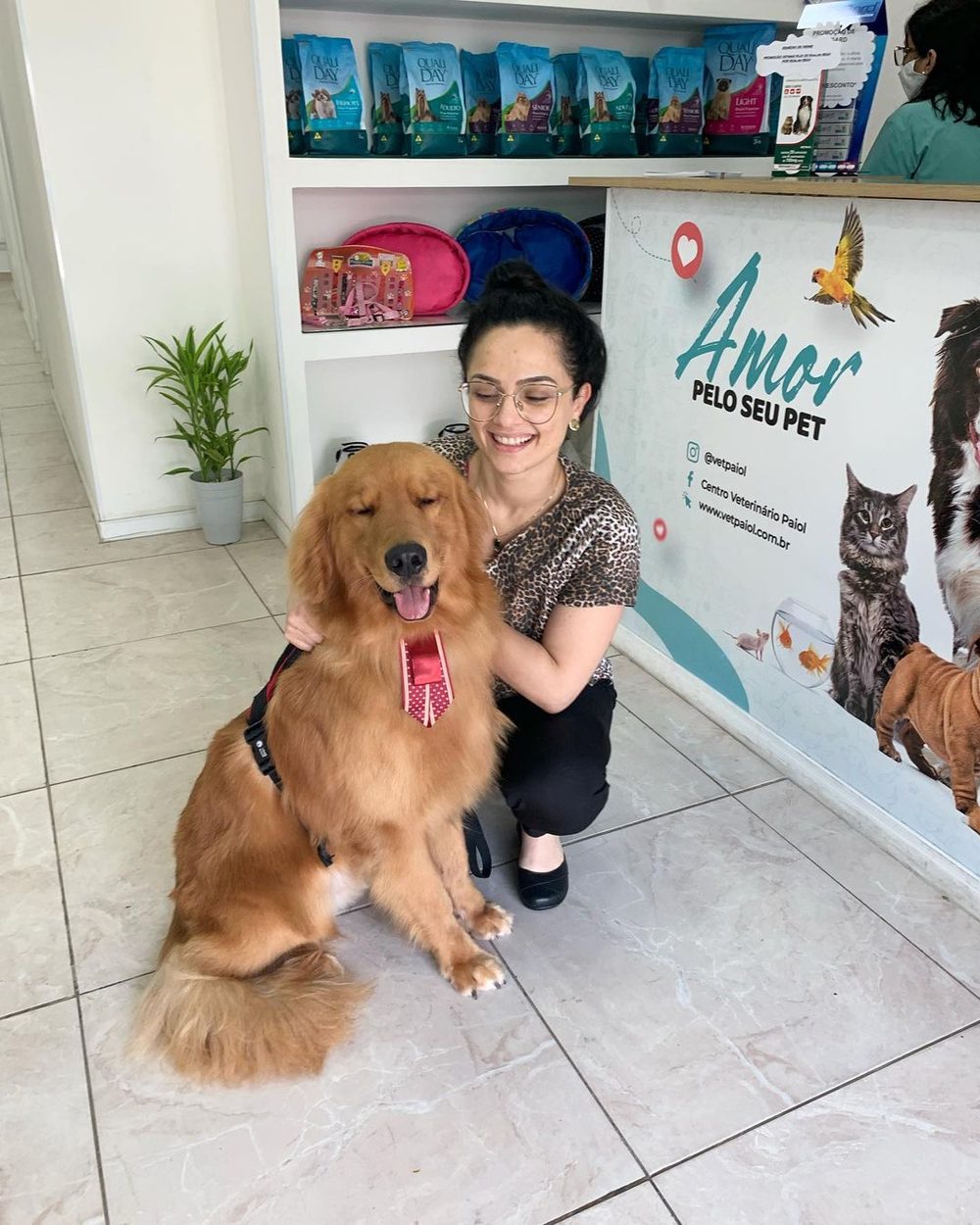 Como manter as consultas veterinárias regulares