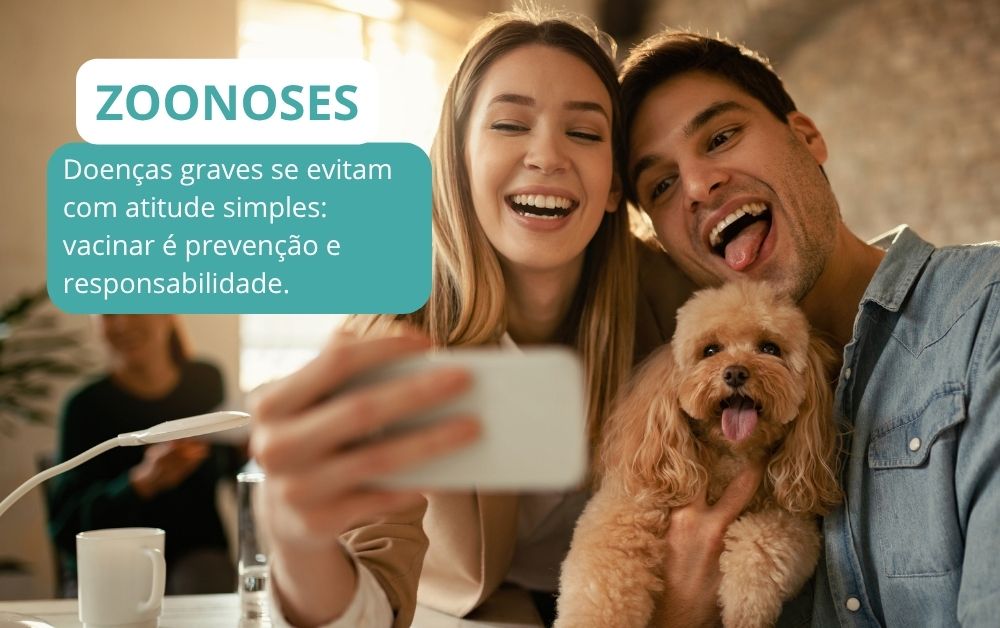 como prevenir a raiva em cães e gatos,