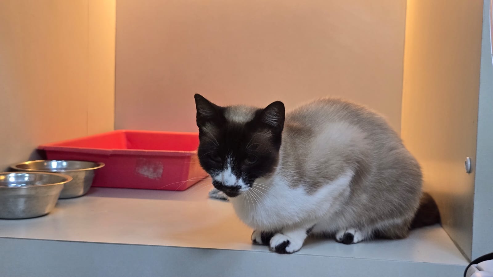 1f98169f-e0c0-46c7-8bd0-65892d1cf0c3