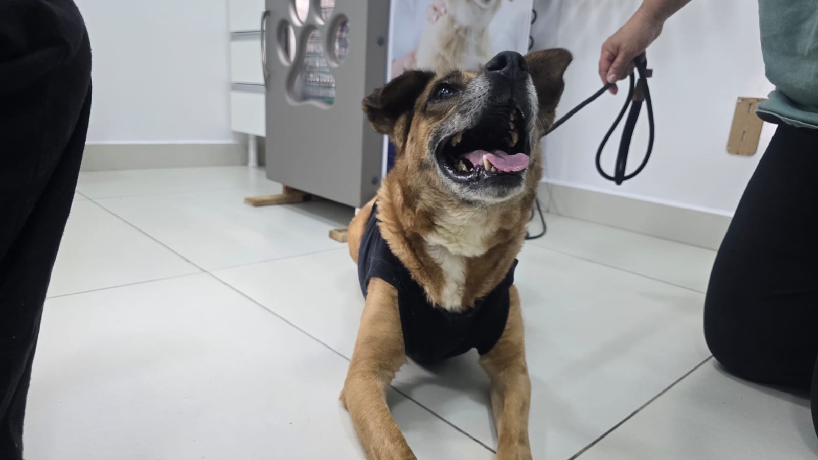 27f27f40-45ea-403c-a63d-ca3f2eb529ca