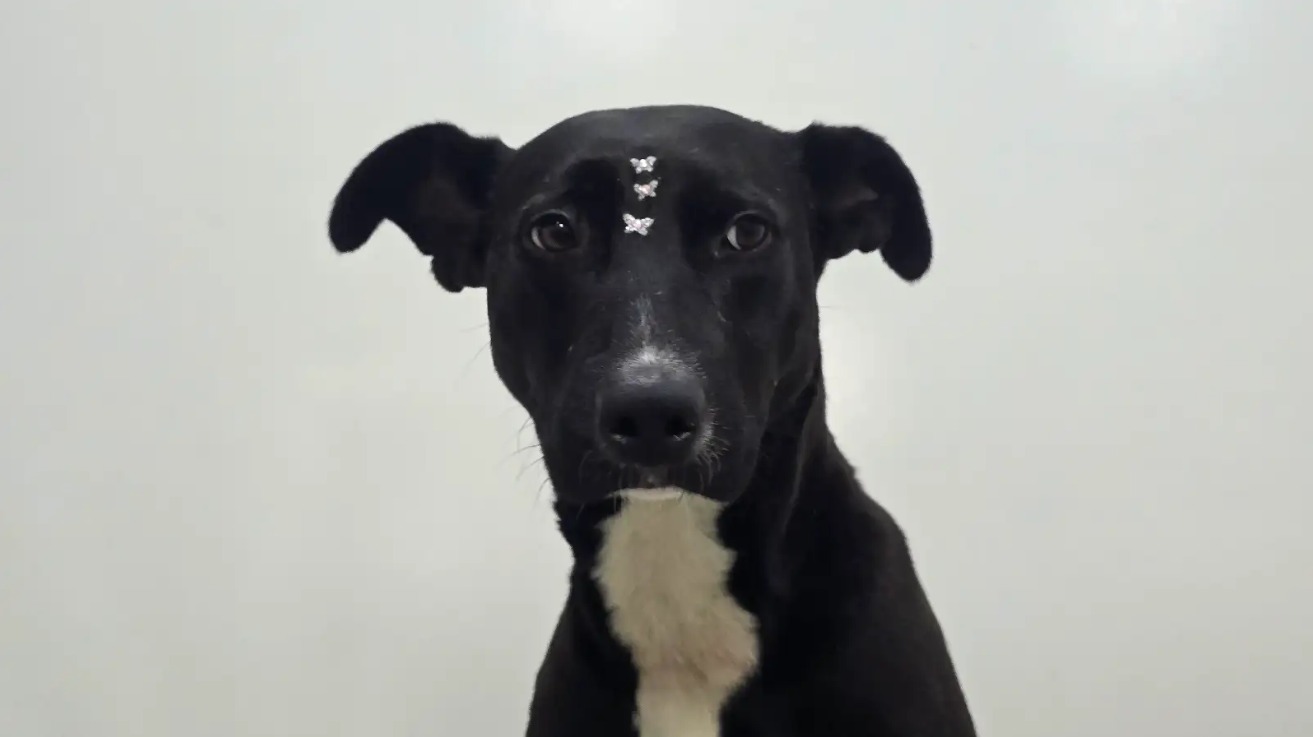 cb7bdb66-f5e8-4fb1-8f73-47fc11ba9fe0